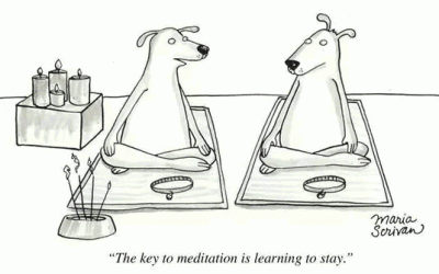 How to fail at meditation