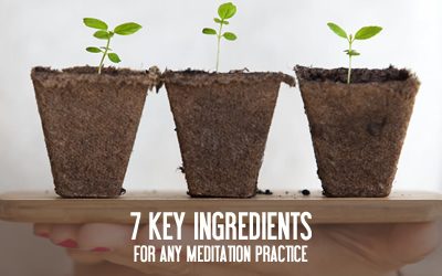 7 Key Ingredients for any Meditation Practice