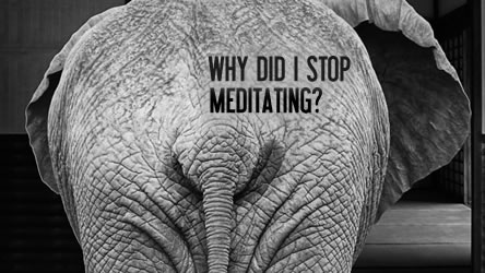 Why Did I Stop Meditating?